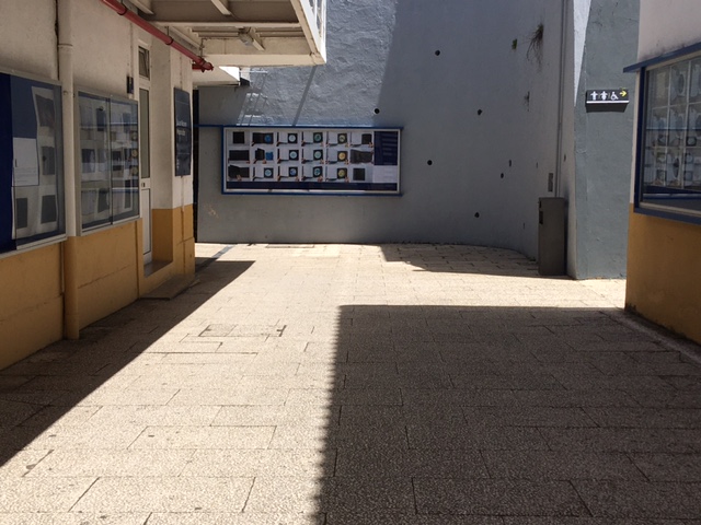 IMG 7855