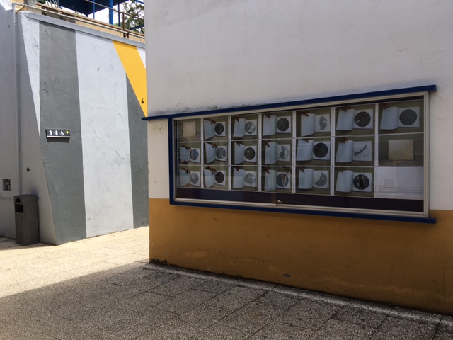 IMG 7860