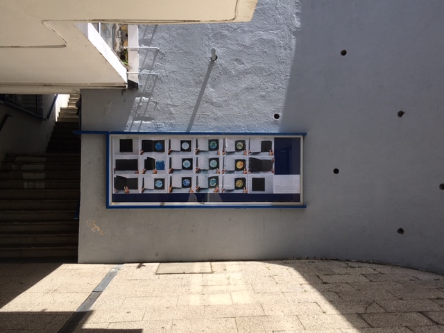 IMG 7864