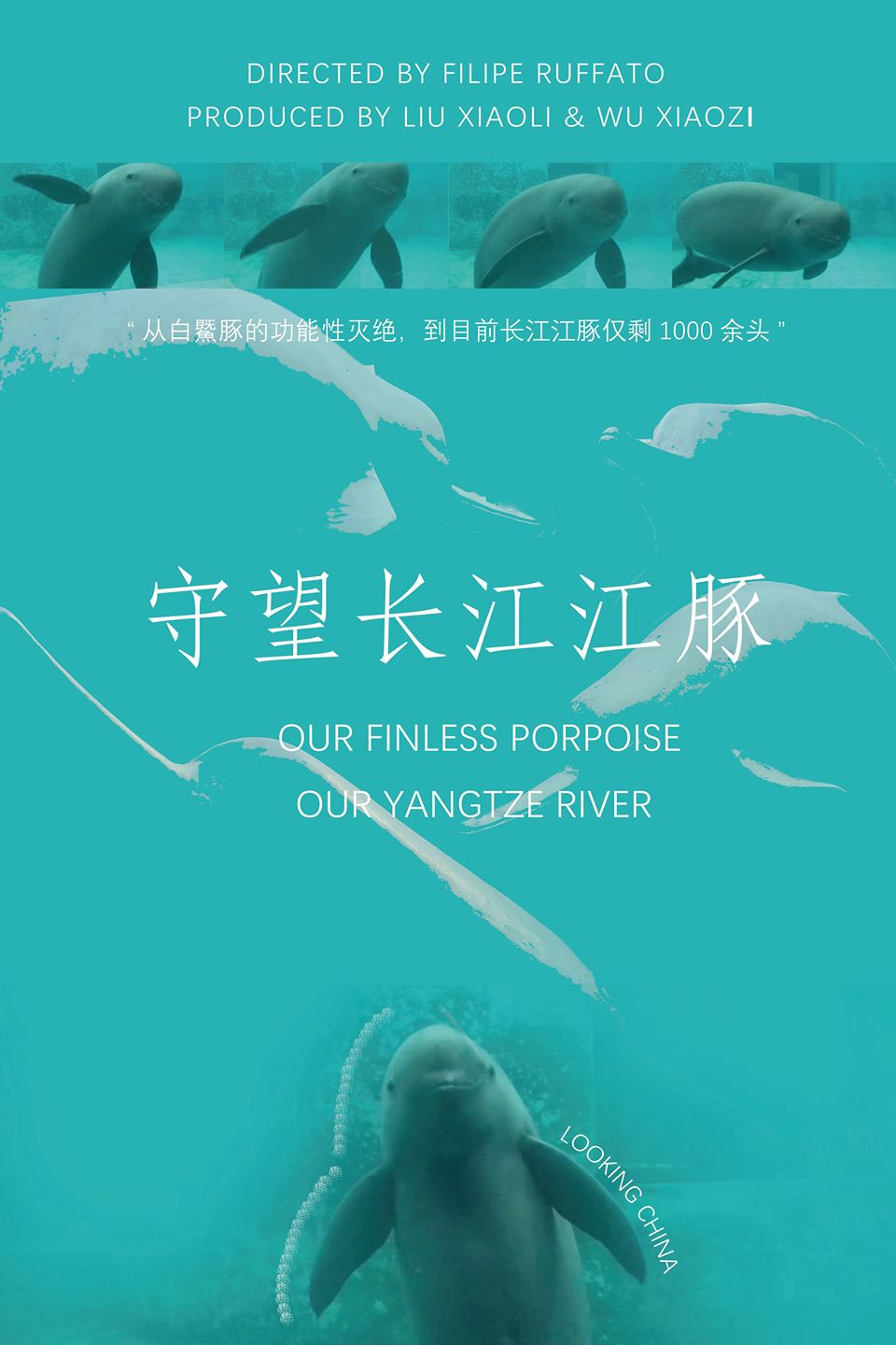 yangtze 1